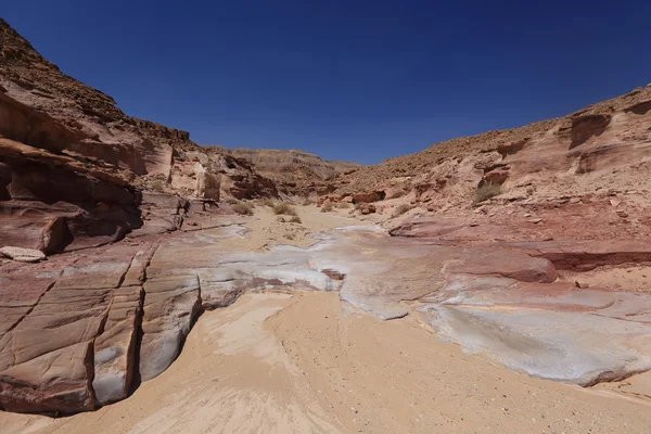 Desierto — Foto de Stock