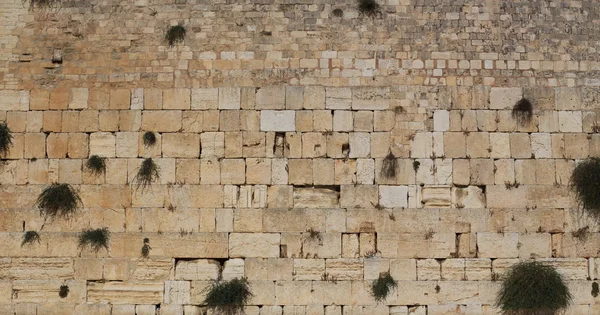 Western wall — Stok fotoğraf