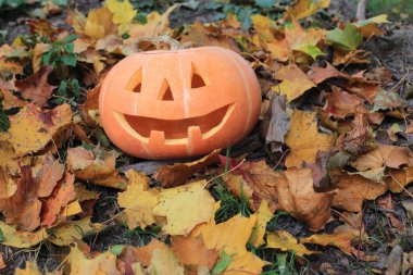 Cadılar Bayramı Balkabağı