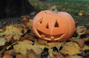 Cadılar Bayramı Balkabağı