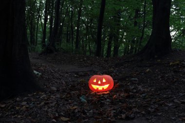 Cadılar Bayramı Balkabağı