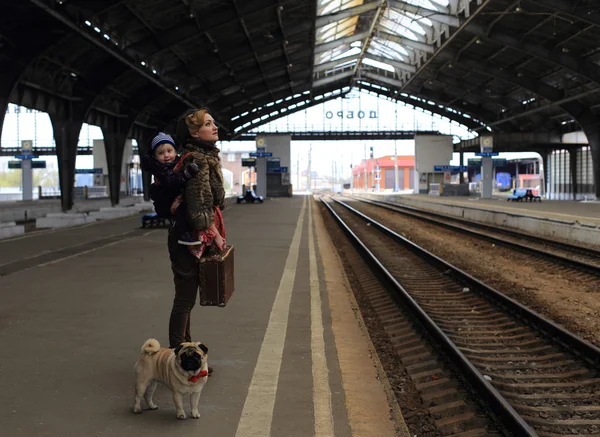 Mãe com filho e cão viajar de trem Fotos De Bancos De Imagens