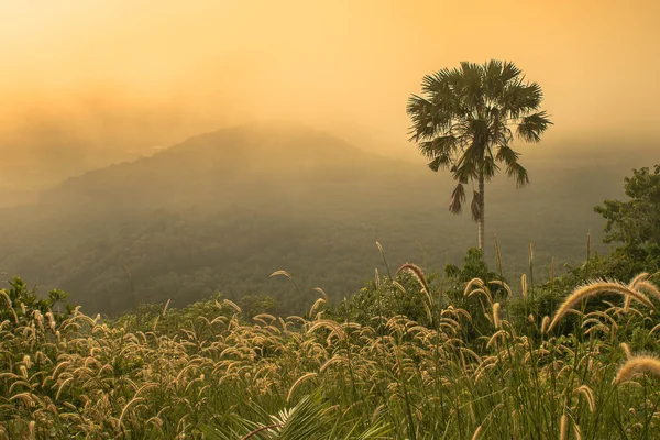 Landscape mountain and fog — Stock Photo, Image