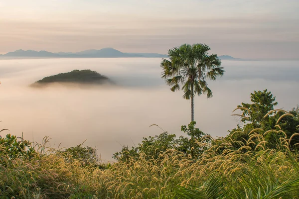 Sunrise on the morning mist — Stock Photo, Image