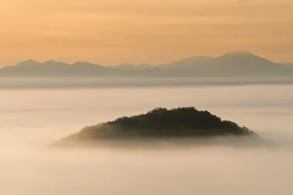 Sunrise on the morning mist — Stock Photo, Image