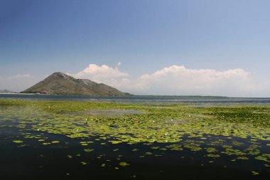 Skadar Gölü rezervi