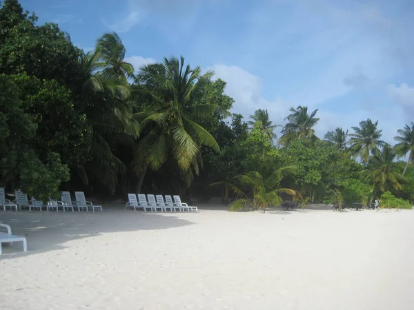 Praia Areia Branca Das Maldivas — Fotografia de Stock
