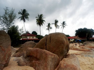 Koh Samui Adası manzarası