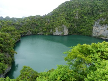 Koh Samui 'nin güzel manzarası.