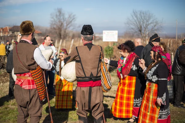 Snoeien van het ritueel van de wijngaarden in Bulgarije — Stockfoto