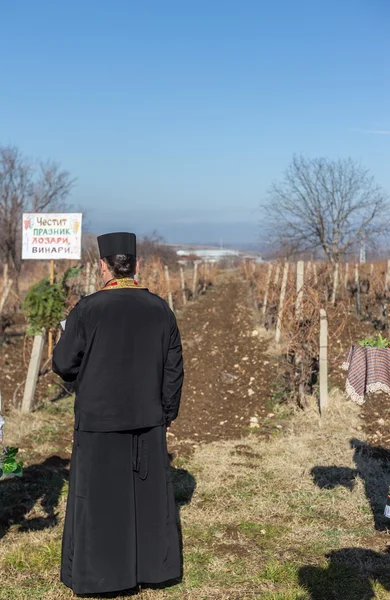 Poda do ritual das vinhas na Bulgária — Fotografia de Stock