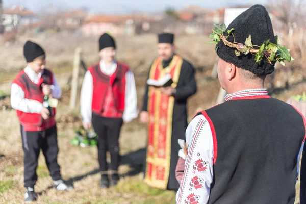 Przycinanie rytuału winnic w Bułgarii — Zdjęcie stockowe