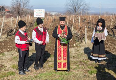 Bulgaristan'ın üzüm bağları ritüel budama
