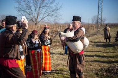 Bulgaristan'ın üzüm bağları ritüel budama