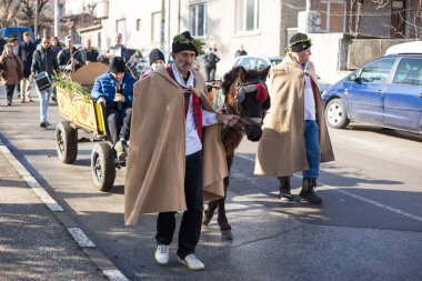 Bulgaristan'ın üzüm bağları ritüel budama