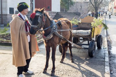 Bulgaristan'ın üzüm bağları ritüel budama