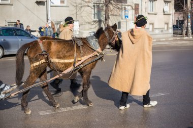 Bulgaristan'ın üzüm bağları ritüel budama