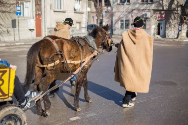 Bulgaristan'ın üzüm bağları ritüel budama