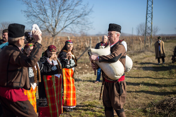 Ритуал обрезки виноградников в Болгарии
