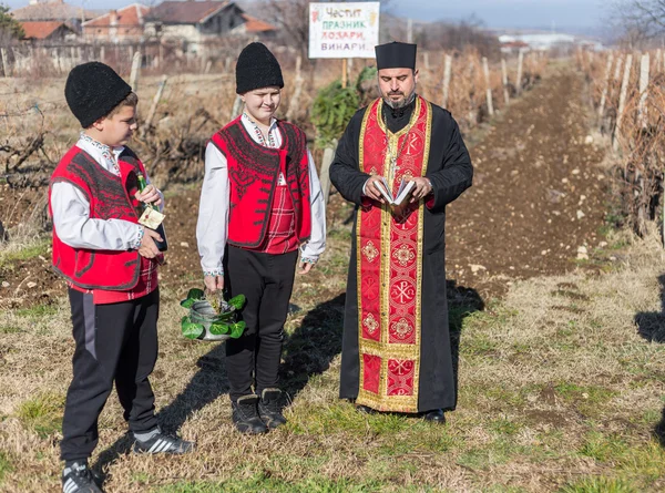 Prořezávání vinice rituálu v Bulharsku — Stock fotografie