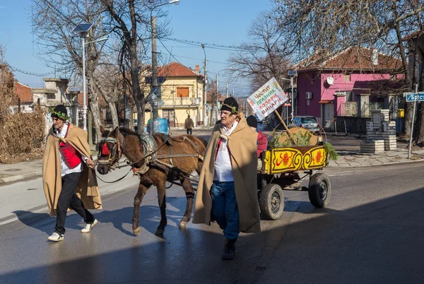 Pruning of the vineyards ritual in Bulgaria — Stock Photo, Image