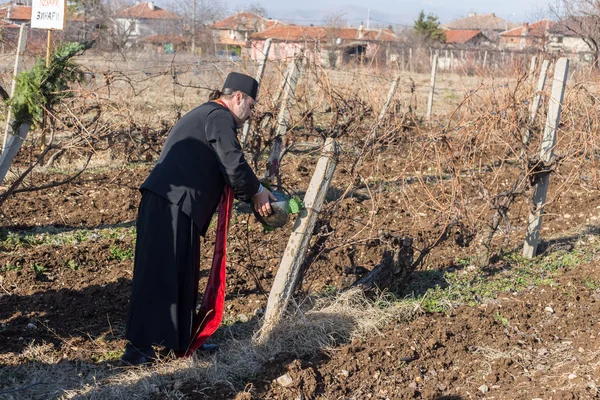 Metszés a szőlőültetvények rituálé, Bulgária — Stock Fotó