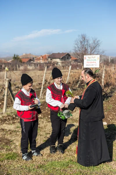 Ритуал обрезки виноградников в Болгарии — стоковое фото