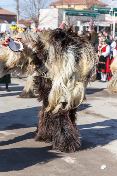 Kukeri maske Festivali — Stok fotoğraf