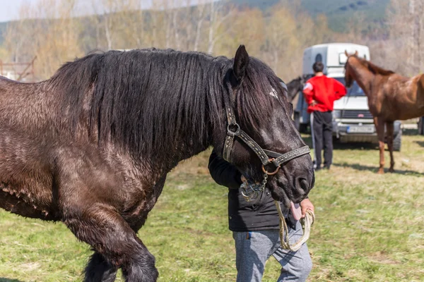 Todorovden i Kalugerovo by, Bulgarien — Stockfoto