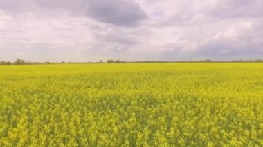 Bir tecavüz alanının havadan görünümü