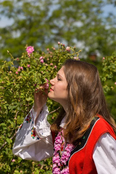 Rosenpflückritual — Stockfoto