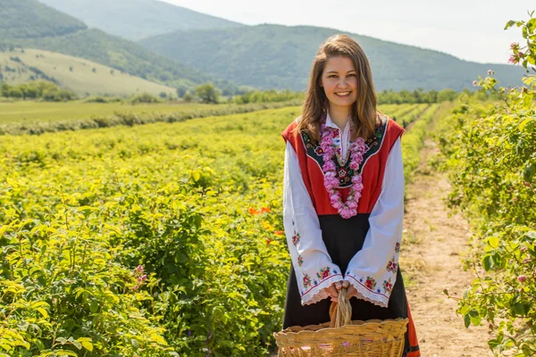 Rose picking ritual — Stock Photo, Image