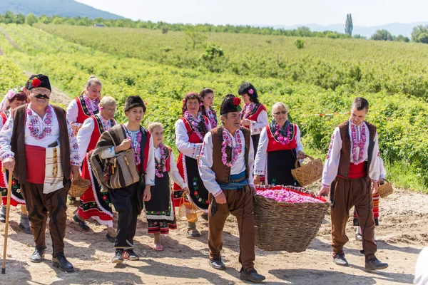 Festival toplama gül