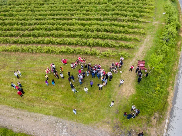 Rosenpflückfest Luftaufnahme — Stockfoto