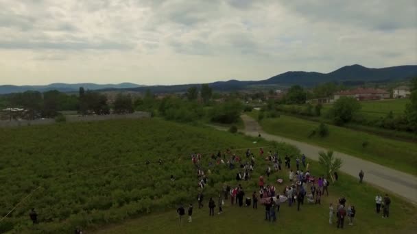 Flygfoto över kajakpaddling — Stockvideo