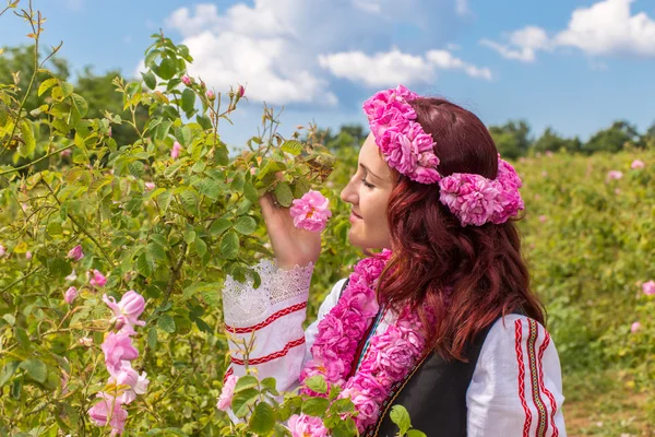 Gül kokusu hissediyorum — Stok fotoğraf