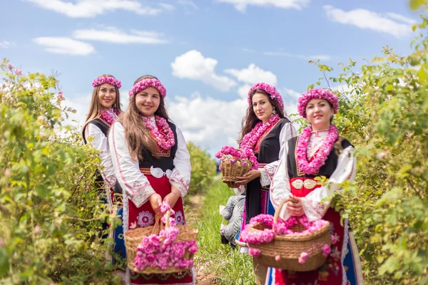 Kız malzeme çekme gül
