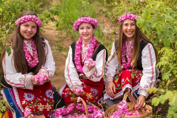 Menina colhendo rosas — Fotografia de Stock