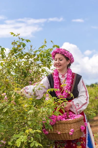 Girl picking roses — Stock Photo, Image