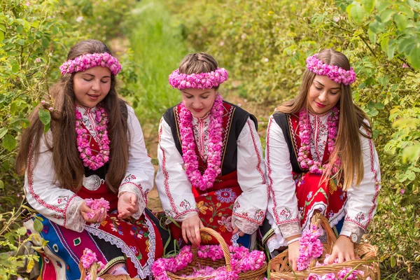 Mädchen pflückt Rosen — Stockfoto