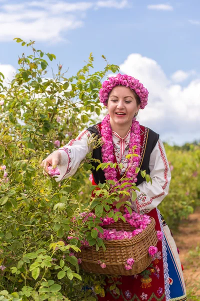 Girl picking roses — Stock Photo, Image