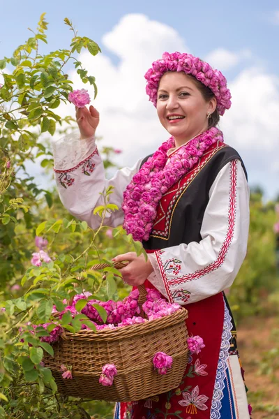 Flicka plocka rosor — Stockfoto