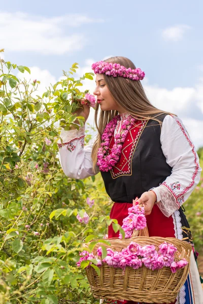 Gül kokusu hissediyorum — Stok fotoğraf