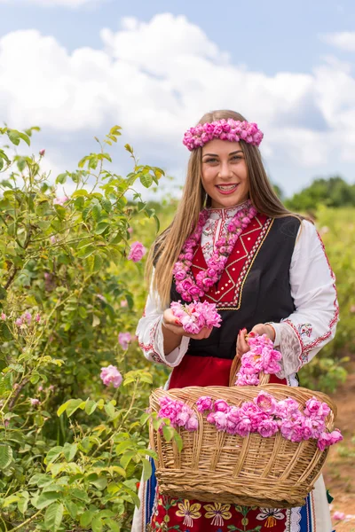 Menina colhendo rosas — Fotografia de Stock