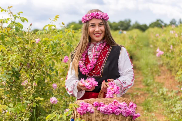 Menina colhendo rosas — Fotografia de Stock