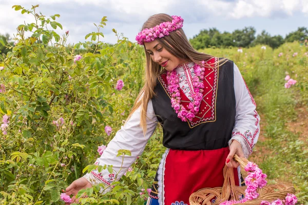 Menina colhendo rosas — Fotografia de Stock