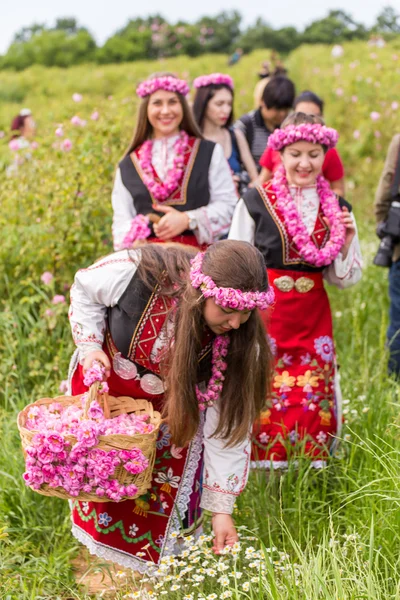 Rosenpflückfest — Stockfoto