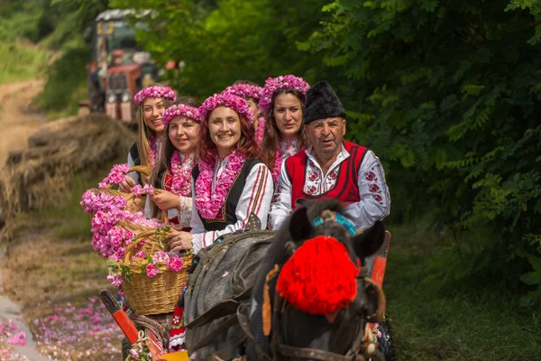 Rose picking festival — Stock Photo, Image