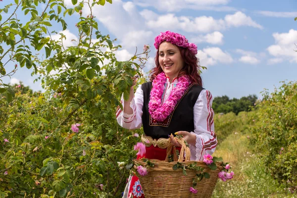 Mädchen pflückt Rosen — Stockfoto