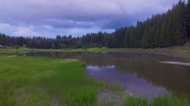 Küçük bir göl su üzerinde uçuş